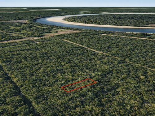 .17 Acre Wooded Retreat Near Trini : Cleveland : Liberty County : Texas