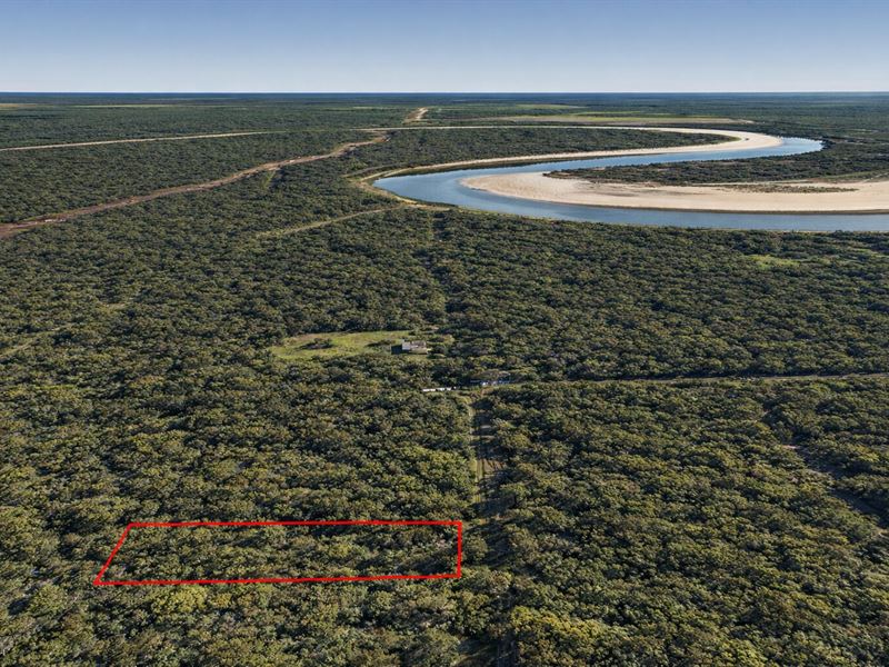 .6 Acre Wooded Lot Near Lake, $27 : Cleveland : Liberty County : Texas