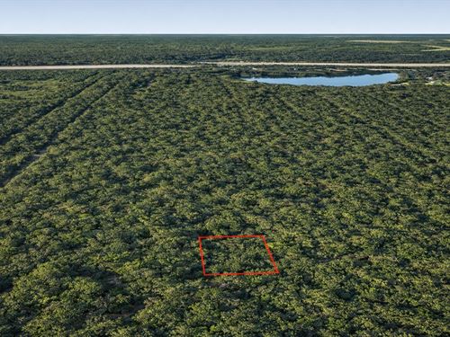 .23 Acre Wooded Lot Near Lake, $1 : Cleveland : Liberty County : Texas