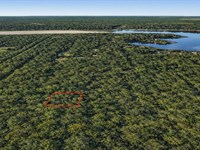 .23 Acre Wooded Near Old River Lake : Cleveland : Liberty County : Texas