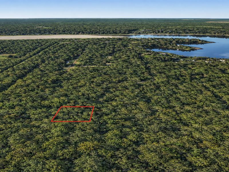 .23 Acre Wooded Near Old River Lake : Cleveland : Liberty County : Texas