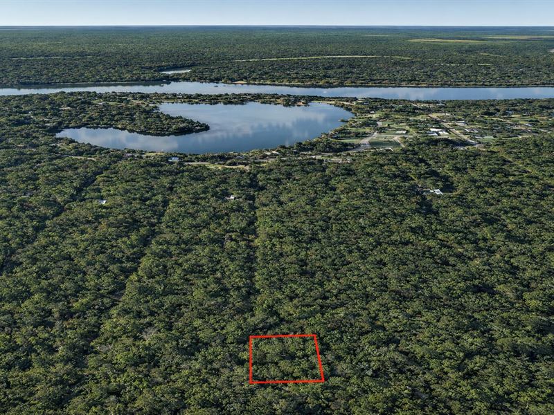 .23 Acre Near Old River Lake : Cleveland : Liberty County : Texas