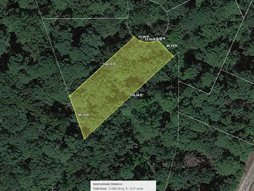.34 Acre Near Lake O' The Pines : Jefferson : Marion County : Texas