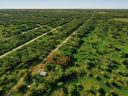 .17 Acre Trinity River Views : Trinity : Walker County : Texas