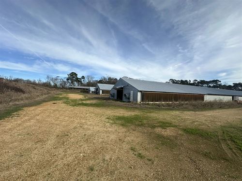 Miller Broiler Farm : Wesson : Copiah County : Mississippi