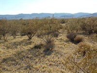 Peaceful Golden Valley Land : Golden Valley : Mohave County : Arizona