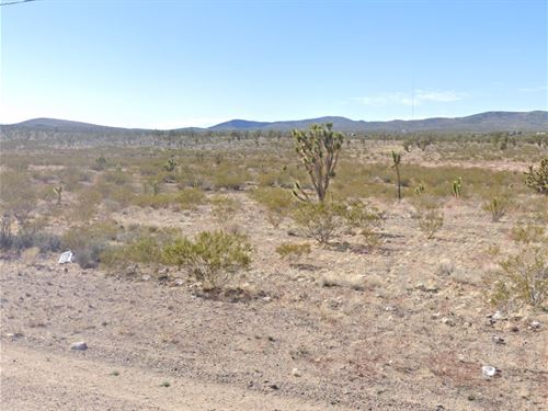 Stop Renting. Start Owning Land : Dolan Springs : Mohave County : Arizona