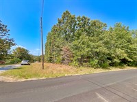 Own Your Easy Living Corner Lot : Horseshoe Bend : Izard County : Arkansas
