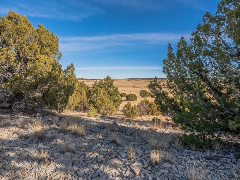 Parcel 24 Hatchet Ranch 24, Pueblo : Pueblo : Pueblo County : Colorado