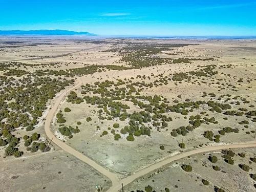 Lot 25 Cedarwood Station Pueblo, CO : Pueblo : Colorado