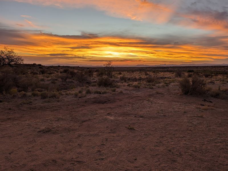 Bradbery Ranch : Lordsburg : Hidalgo County : New Mexico