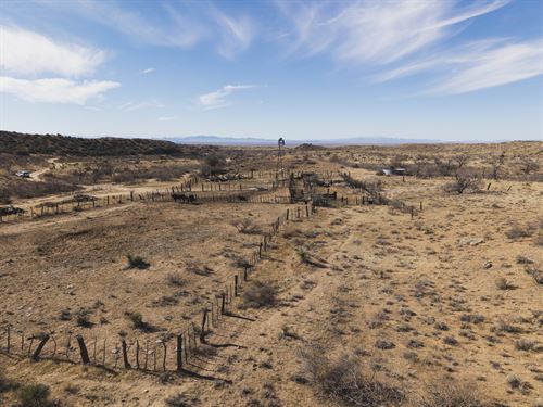 Bradbery Ranch : Lordsburg : Hidalgo County : New Mexico