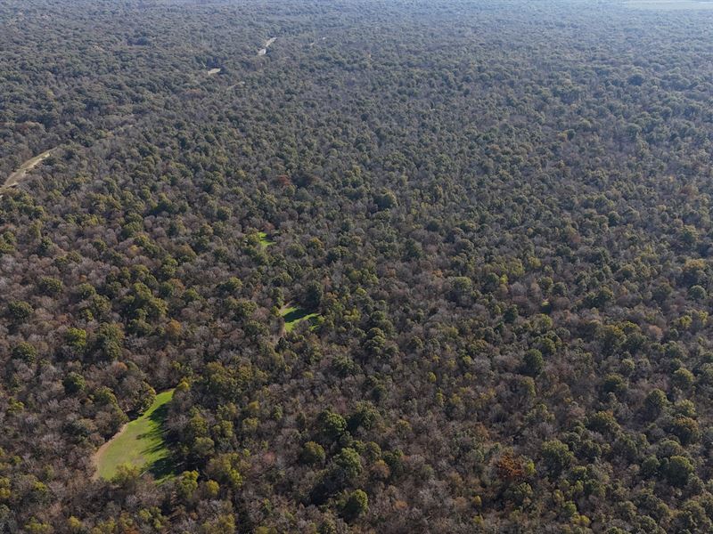 Big Sunflower 426, Sharkey County : Rolling Fork : Sharkey County : Mississippi