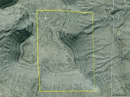 West Texas Hunting : Sierra Blanca : Hudspeth County : Texas