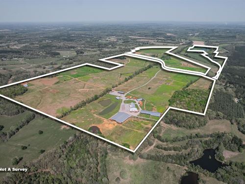 452 Acre Ranch and Event Venue : Michie : McNairy County : Tennessee