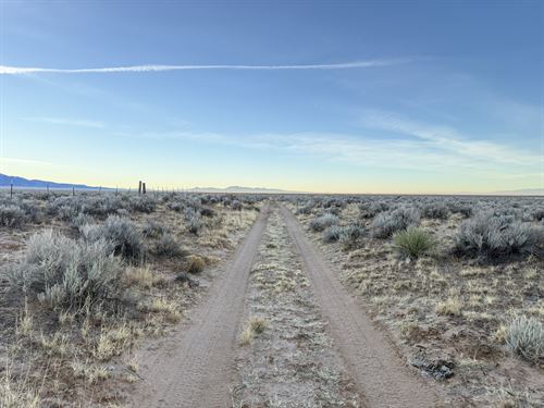 Freedom Starts Here : Los Lunas : Valencia County : New Mexico
