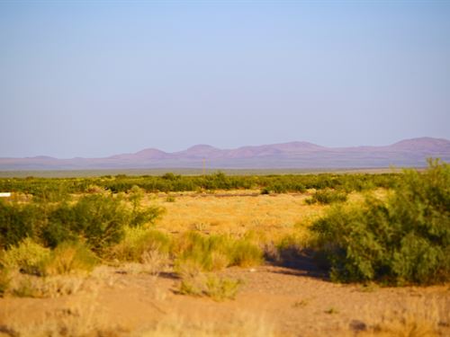 .50 Acres Luna County NM : Deming : Luna County : New Mexico