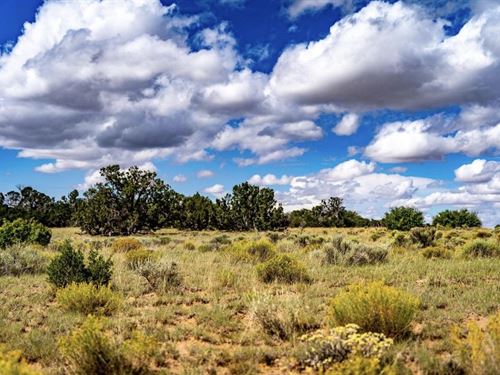 5 Acre Off-Grid Desert Paradise : Saint Johns : Apache County : Arizona