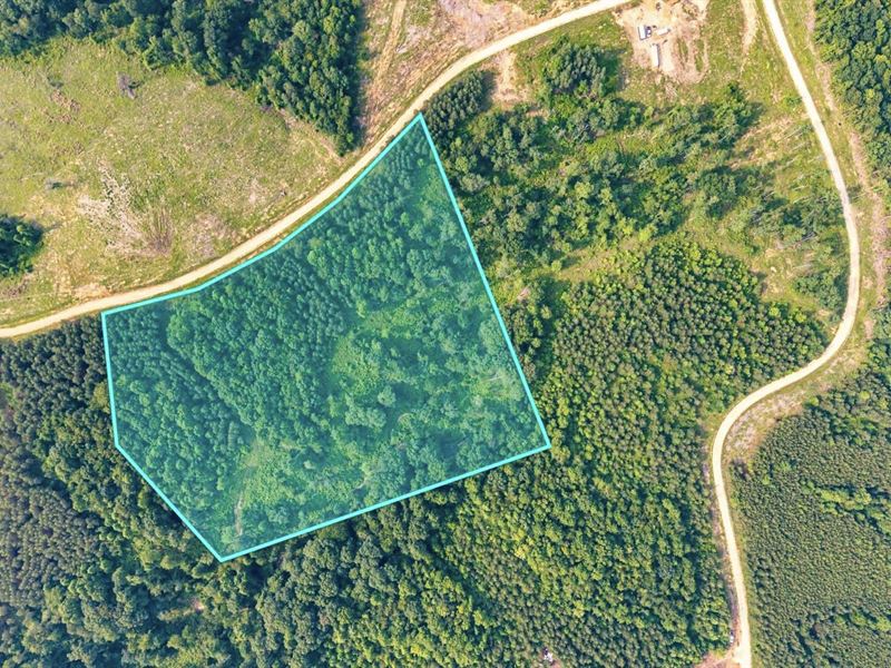15.7 Acres, Power & Fiber Internet : Dover : Stewart County : Tennessee