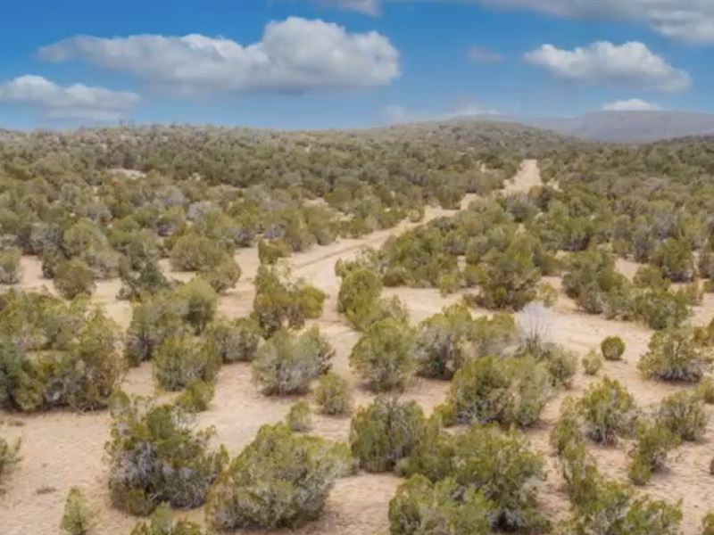 No Restrictions, Power Nearby : Seligman : Yavapai County : Arizona