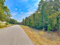 Walking Distance To Lake and Town : Horseshoe Bend : Izard County : Arkansas