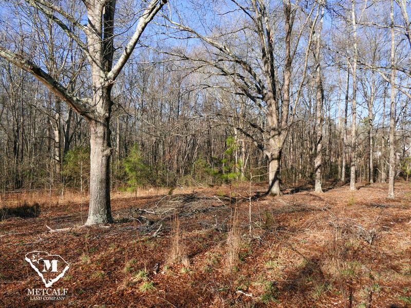 5.5 Acres in Boiling Springs, SC : Boiling Springs : Spartanburg County : South Carolina