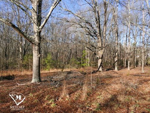 5.5 Acres in Boiling Springs, SC : Boiling Springs : Spartanburg County : South Carolina