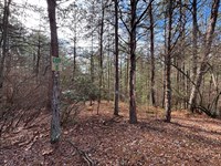 2.36 AC Res Lot, City Water/Sewer : Copperhill : Polk County : Tennessee