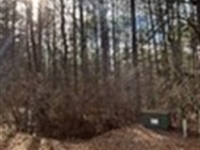 1.73 AC Gated Lot, City Water Sewer : Copperhill : Polk County : Tennessee