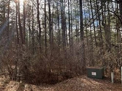 1.73 AC Gated Lot, City Water Sewer : Copperhill : Polk County : Tennessee