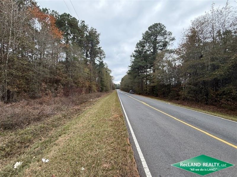 13.8 Ac Wooded Home Site Tract : Shongaloo : Webster Parish : Louisiana