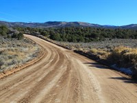 Trees, Power, & Big Mountain Views : San Luis : Costilla County : Colorado