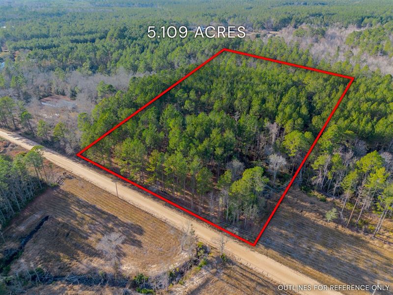 Lot 1, Lanes Creek Farms : Brooklet : Bulloch County : Georgia