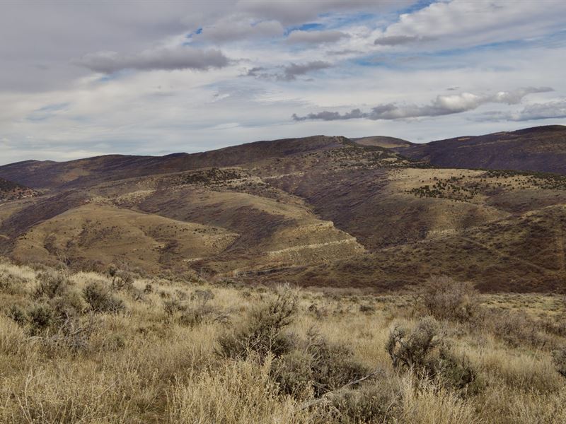 Hamilton Hunt Camp : Hamilton : Moffat County : Colorado