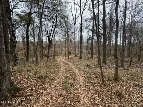 Prime Hunting/Recreation Tract Nea : Smithdale : Franklin County : Mississippi