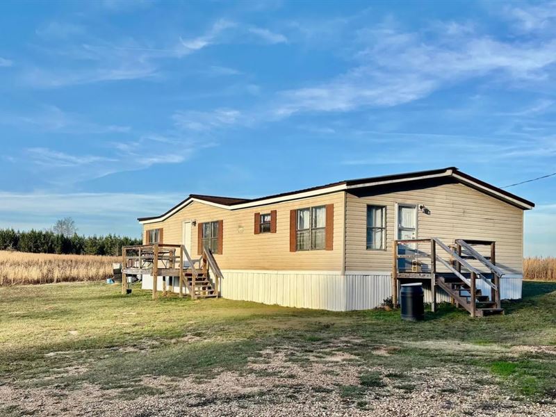 3Br Home on 2 Acres in Jayess, Miss : Jayess : Walthall County : Mississippi