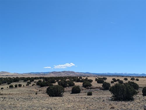 Beautiful Arizona Landscape : Concho : Apache County : Arizona