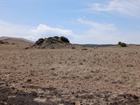 Your Desert Oasis in Concho Arizona : Concho : Apache County : Arizona