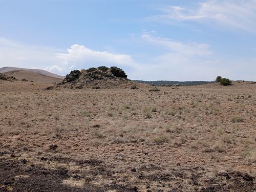 Your Desert Oasis in Concho Arizona : Concho : Apache County : Arizona