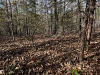 The Ozarks Are Calling Your Name : Cherokee Village : Fulton County : Arkansas