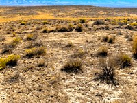 10 Acr Blm Land, Big Nevada Freedom : Deeth : Elko County : Nevada