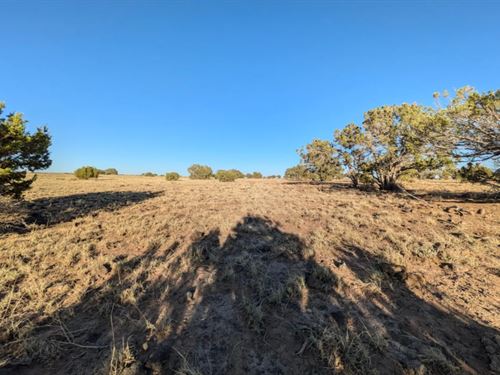 Your Arizona Residential Lot Awaits : Concho : Apache County : Arizona