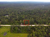 Suwannee River Park Estates Lot : Live Oak : Suwannee County : Florida