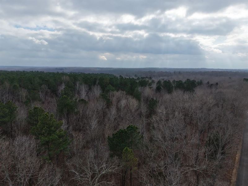 20 Acres in Benton County, TN : Holladay : Benton County : Tennessee