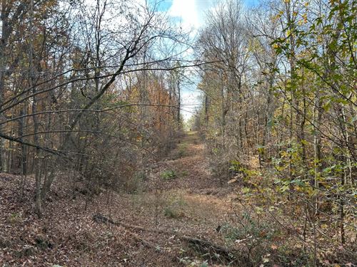 55 Acres in Yazoo County, MS : Bentonia : Yazoo County : Mississippi