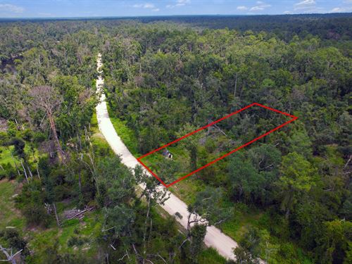 Homesite Close to Springs and Parks : Live Oak : Suwannee County : Florida