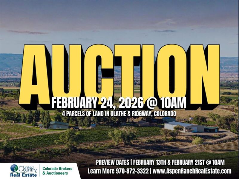 Auction, Olathe Irrigated Farm Lan : Olathe : Montrose County : Colorado