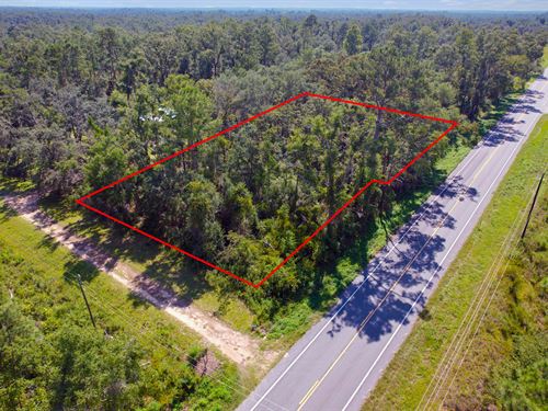 Build-Flexible Residential Land : Jennings : Hamilton County : Florida