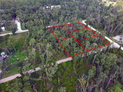 5 Adjacent Lots Totaling 1.34 Acre : Live Oak : Suwannee County : Florida