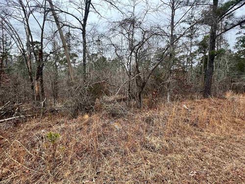 Near Lake, No HOA, $1 Down : Sparta : Hancock County : Georgia